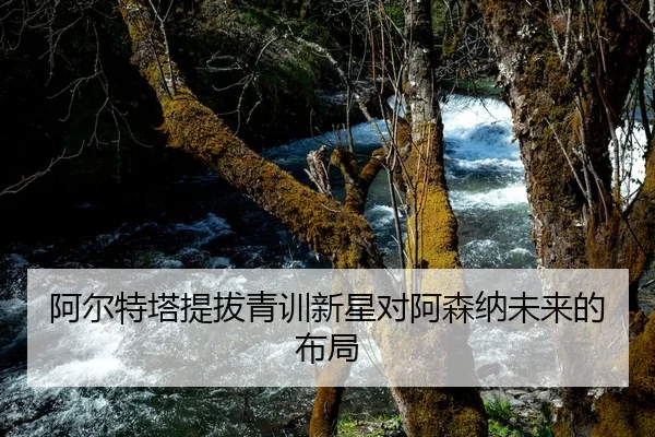 阿尔特塔提拔青训新星对阿森纳未来的布局